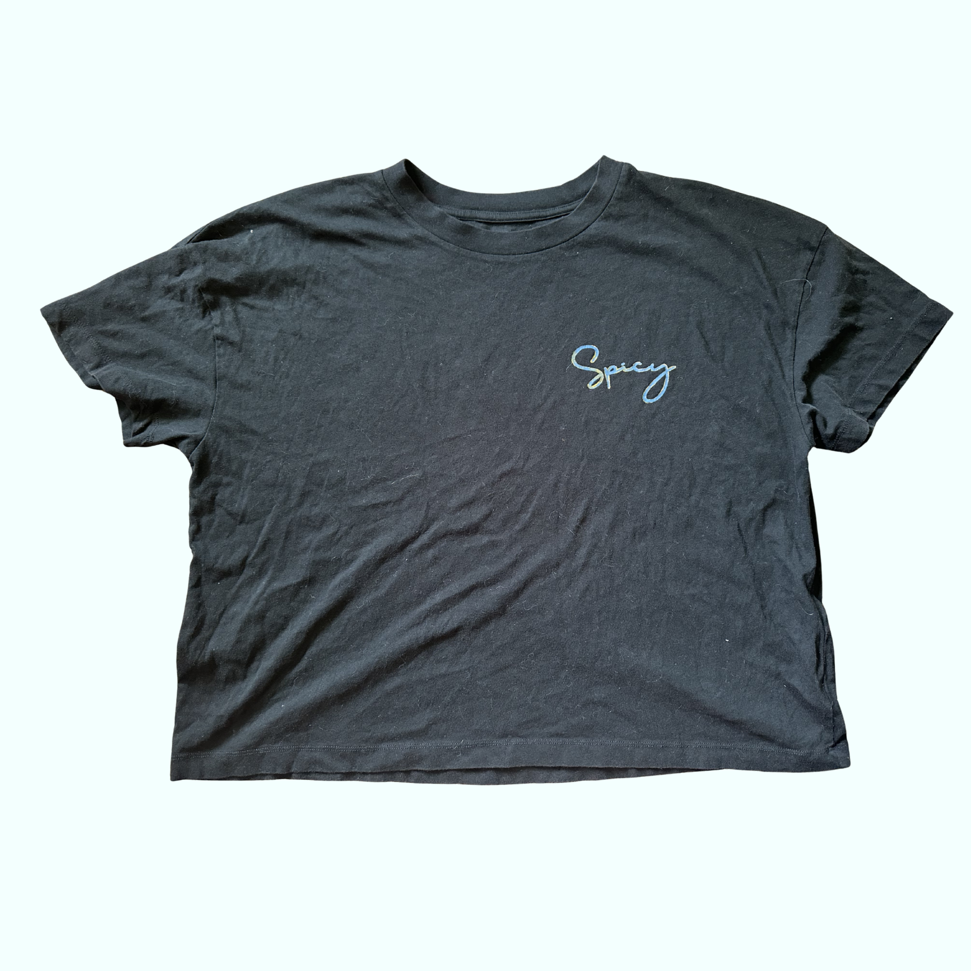 Sz XL - Spicy Cropped Tee