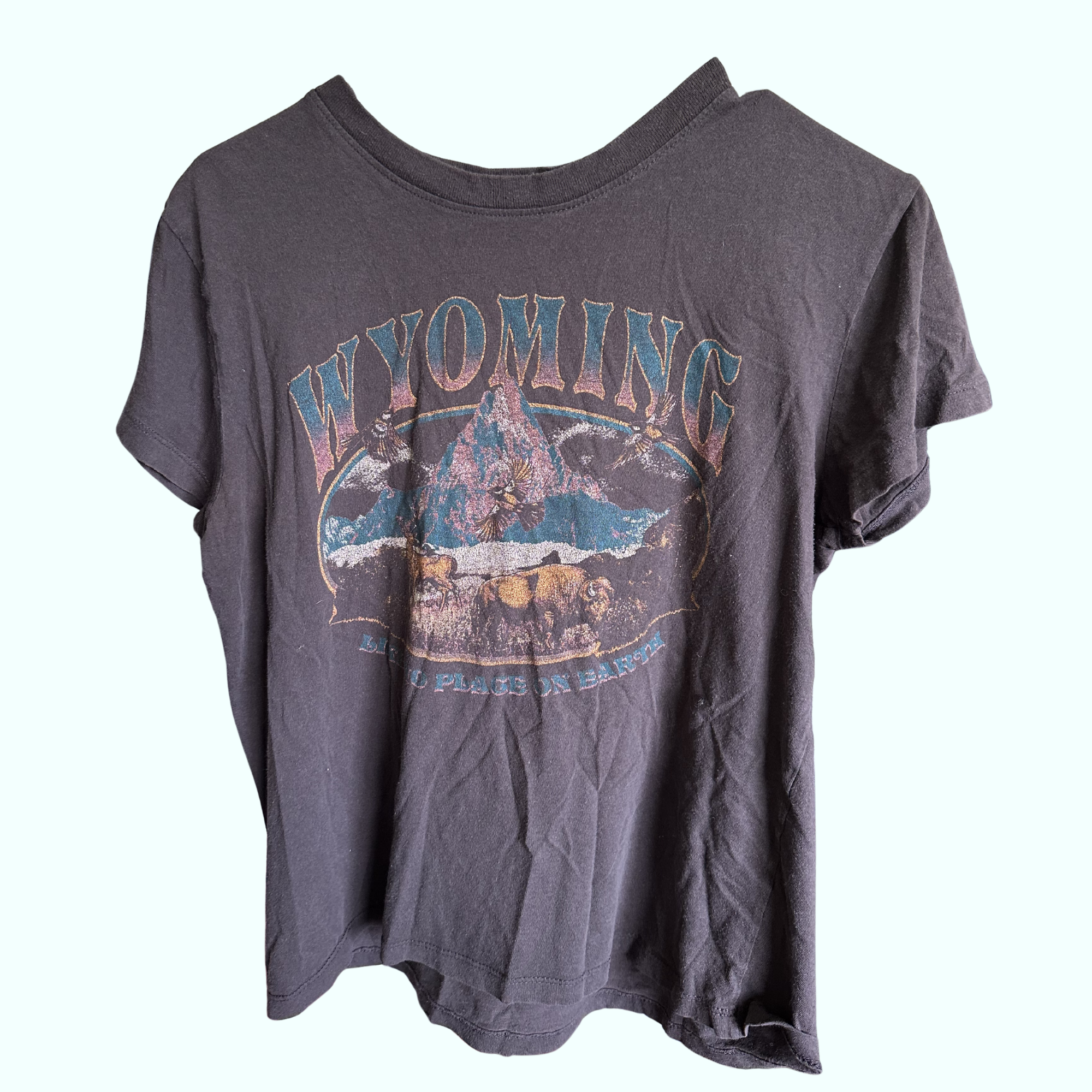Sz S - Vintage Wyoming Tee