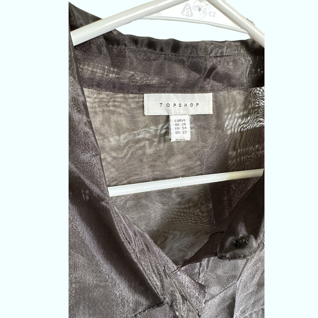 Sz 22 - TOPSHOP Organza Blouse